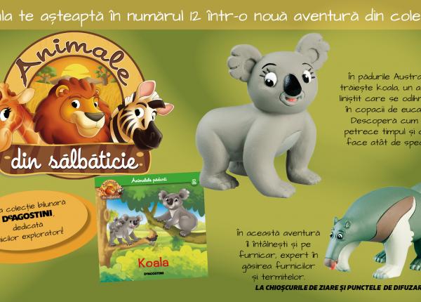 koala si furnicarul pornesc intr o noua aventura numarul 12 din animale din salbaticie de marti la chioscuri