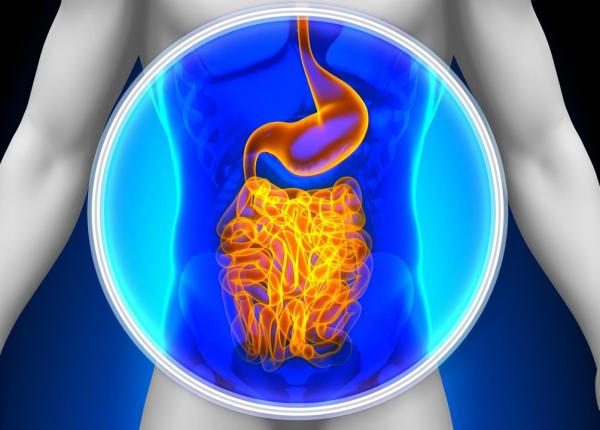 imparti casa imparti si microbiomul cum convietuirea cu alti oameni iti poate schimba flora intestinala