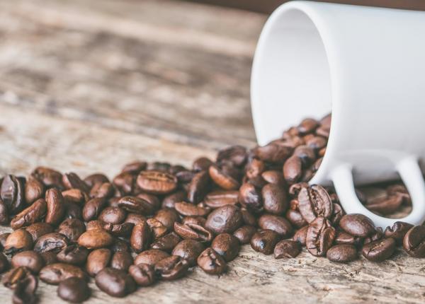 efectele surprinzatoare ale cafelei asupra creierului si microbiomului intestinal