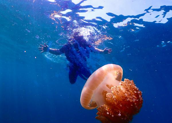 puterea terapeutica a unei vacante estivale