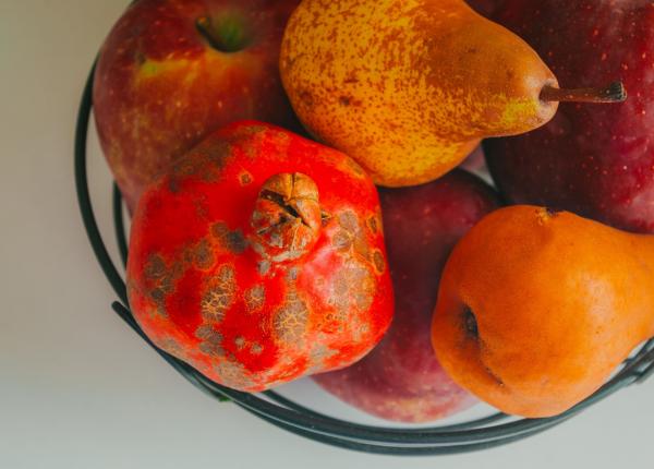 poti taia mucegaiul de pe fruct si sa l mananci in siguranta
