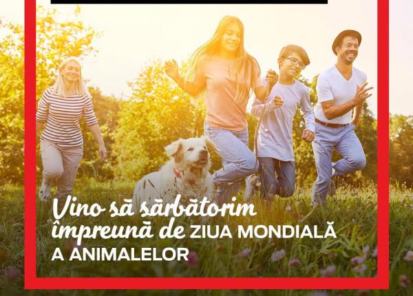 ziua mondiala a animalelor in parcul herastrau o zi de distractie educatie si fapte bune pentru oameni si animalele lor de companie