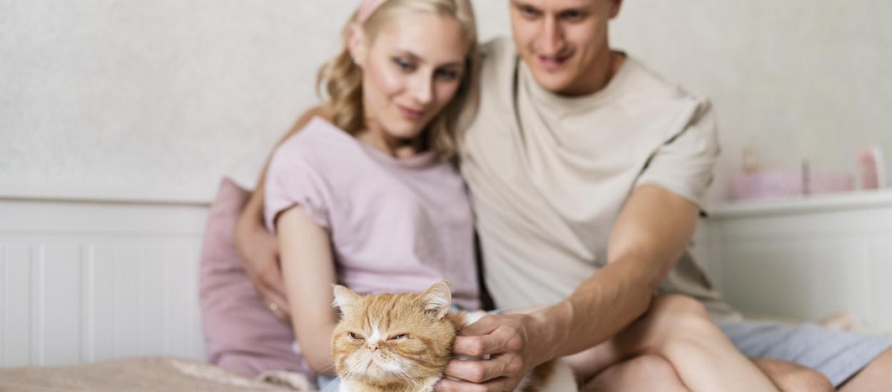 Legătura surprinzătoare dintre cancerul la pisici și cel la oameni: noi descoperiri științifice