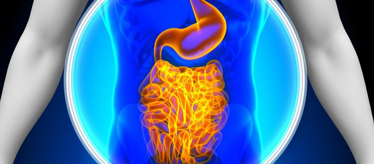 Împarți casa, împarți și microbiomul. Cum conviețuirea cu alți oameni îți poate schimba flora intestinală