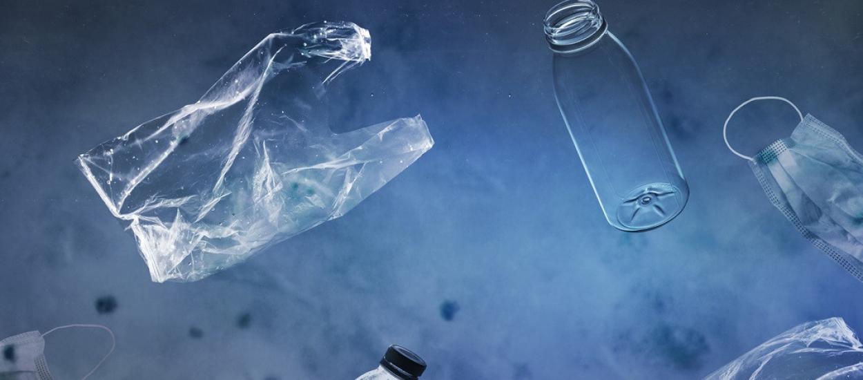 Semințele de moringa elimină microplasticele din apă: descoperire revoluționară a cercetătorilor