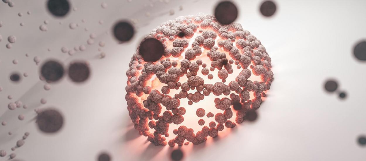 Vitamina care poate încetini dezvoltarea celulelor canceroase – ce spun studiile