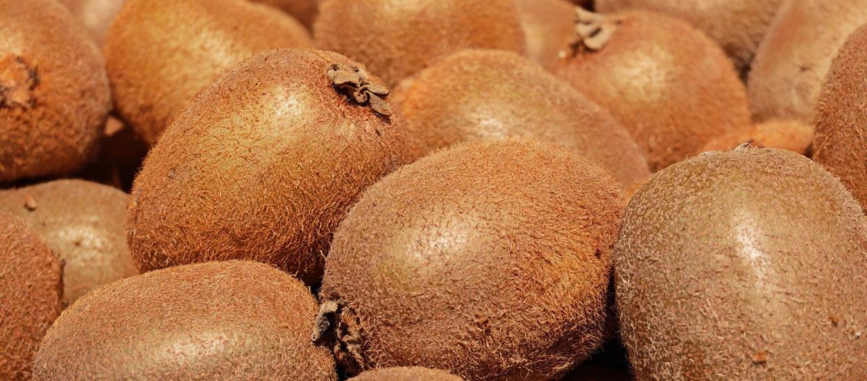 5 beneficii pentru sănătate dacă mănânci kiwi cu tot cu coajă