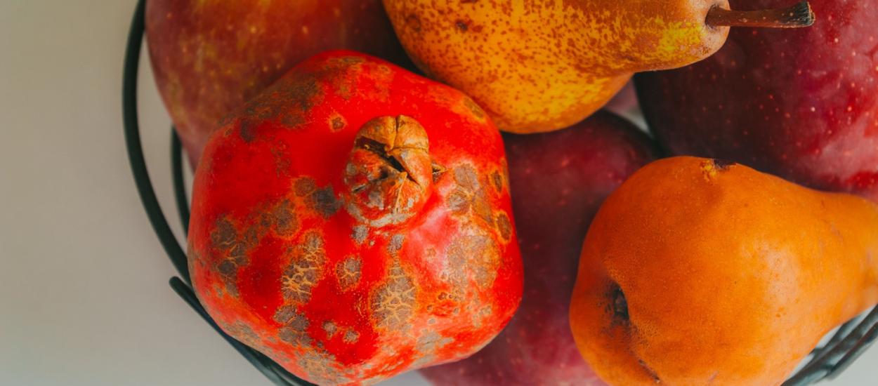 Poți tăia mucegaiul de pe fruct și să-l mănânci în siguranță?